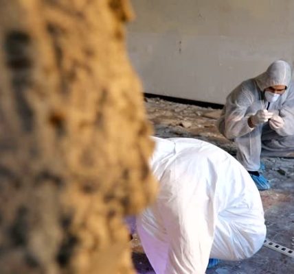 Supernova Asbestos Surveys Asbestos Report Trusted Results