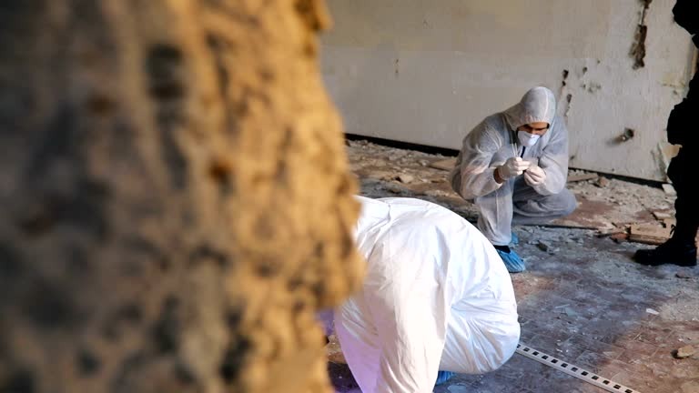 Supernova Asbestos Surveys Asbestos Report Trusted Results